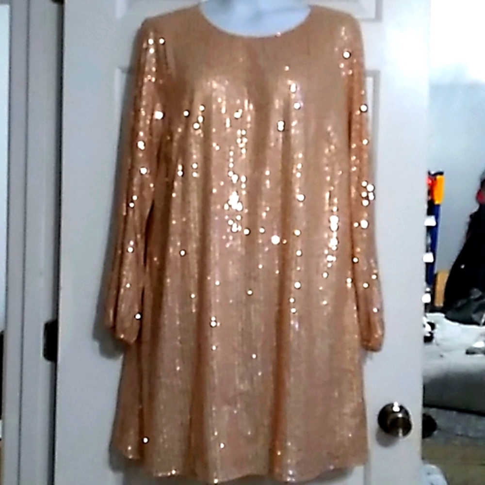 Champagne 🍾 sequins dress NWT